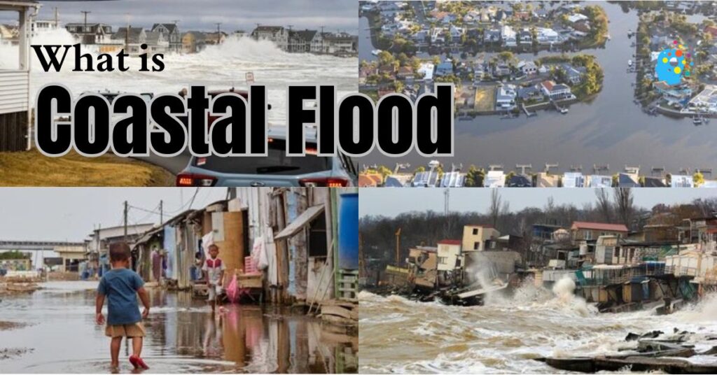 how many types of floods Flash Flood River Flood coastal flood disasters360 rashid javed