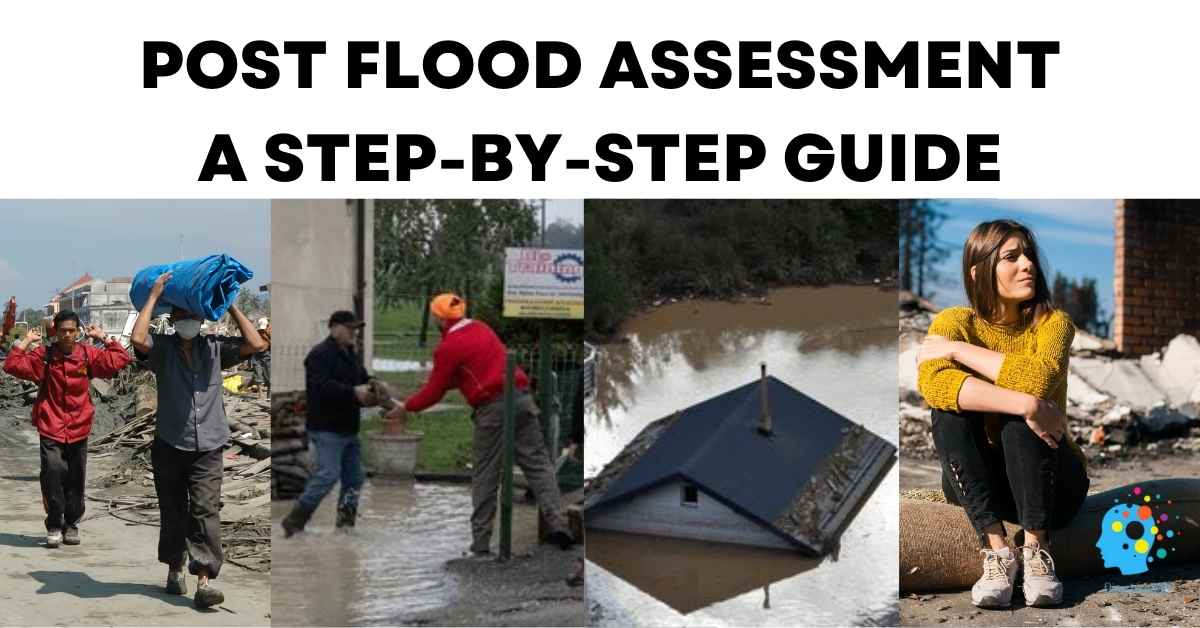 Post Flood Assessment Disasters360 Rashid Javed, A collage of four images showing different aspects of post-flood assessment and recovery. It includes people carrying supplies, community members assisting each other, a submerged house in floodwater, and a woman sitting in the aftermath of destruction.